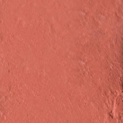 RENEE Fab Bullet L 09 Tea Rose 1.5 gm - Lipsticks
