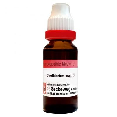 Dr. Reckeweg Chelidonium Ø Liquid 20 ml - Mother Tincture