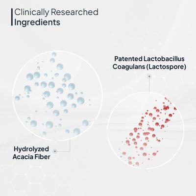 Miduty Probiotics & Prebiotics Fiber Powder 150 g - Digestive Health