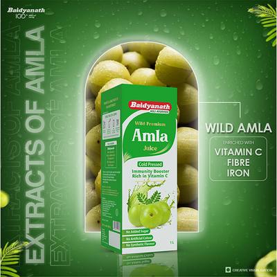 Baidyanath Amla Juice 1 ltr - Speciality Medicines