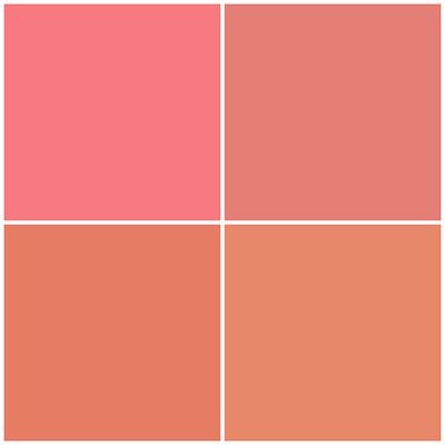 Half N Half Cheekleaders Blusher Palette for a Natural Flawless Look, Happiness-02 13.8 g - Blushes