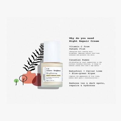 AMINU The gleaming - Night Repair Cream 30 gm - Night Cream