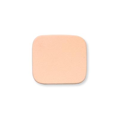 Half N Half 2 Way Compact Powder Cake SPF 20, EPS 20, Shade-C 24 gm - Compact Powder