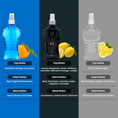 Dorall Collection Thunder Blue + Lion Heart + Islander Body Mist Set 3's - Men Perfumes (Edt/Edp)