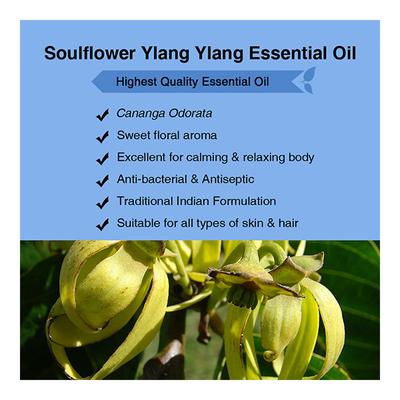 Soulflower Essential Oil - Ylang Ylang 15 ml - Essential Oils