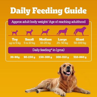 Pedigree Adult Chicken Biryani 2.8 kg - Petfood