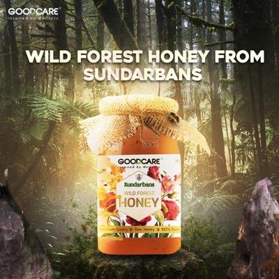 Goodcare Sundarbans Wild Forest Honey 500 gm - Honey