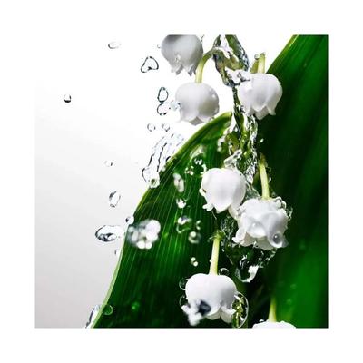 Davidoff Cool Water Woman Eau De Toilette Spray 100 ml - Women Perfumes (Edt/Edp)