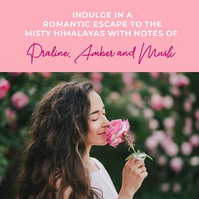 Lux Rose & Aloevera Shim Bodywash 400 ml - Shower Gels & Body Wash