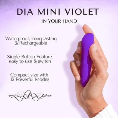 Libertee Dia Violet Mini Bullet Rechargeable Massager 12 Modes & Intensities 1's - Massagers And Vibrators