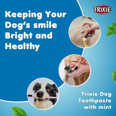 Trixie Dog Toothpaste with Mint 100 gm - Pet Grooming
