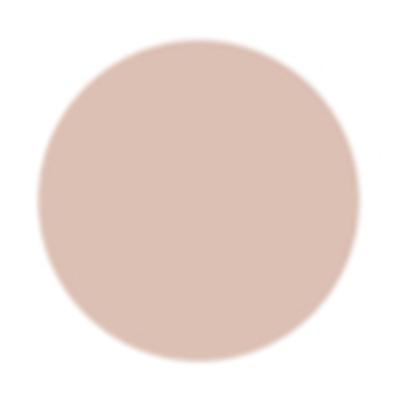 PAC Take Cover Compact Powder Longlasting Full Coverage Soft Matte Finish - 01 Light Fairy 7.85 g - Compact Powder