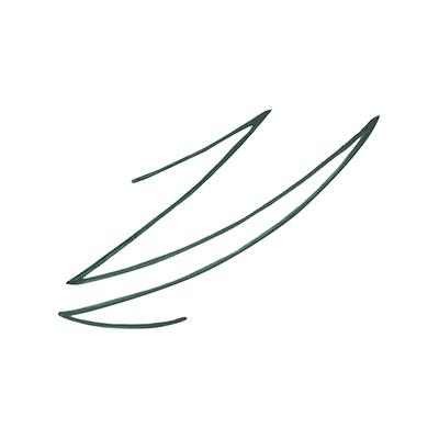 Star Struck by Sunny Leone Liquid Eye Definer - Evergreen 4.5 ml - Eyeliners
