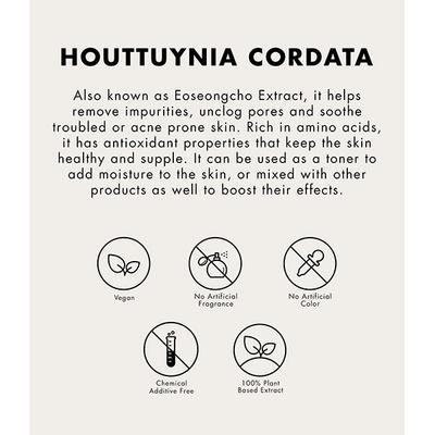 ONE THING Houttuynia Cordata Extract 150 ml - Toners