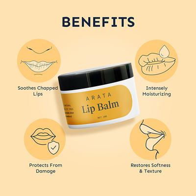 Arata Lip Balm 20gm - Lip Balms