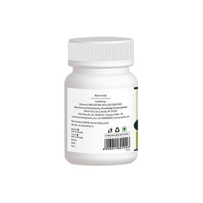 Pravek Lakshmi Vilas Ras (Nardiya) Tablet 40's - Speciality Medicines