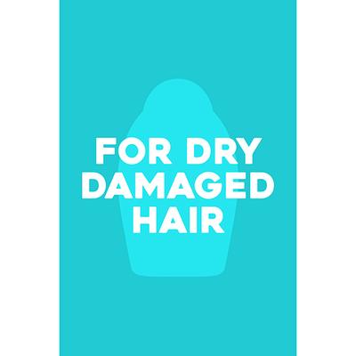 Ogx Renewing Argan Oil Of Morocco Conditioner 385 Ml - Conditioners