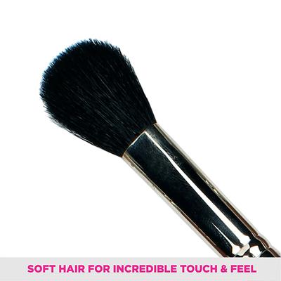 Vega Set Of 10 Brushes (LK - 10) 316.5 gm - Face Brush