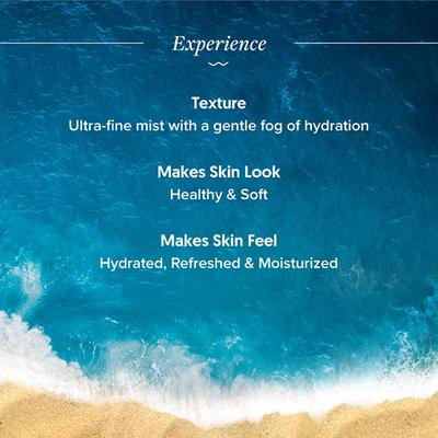 Aqualogica Hydrate Plus Refresh Toning Mist Coconut Water & Hyaluronic Acid Hydrate + Nourish 100ml - Face Mists