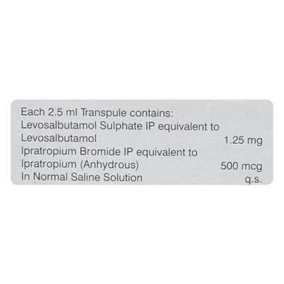 Salbair I Neb 1.25mg Transpule 2.5ml - Asthma/COPD-Ast