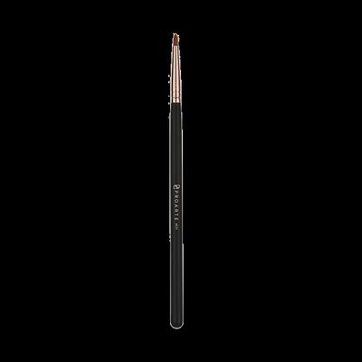 Proarte Ae-31 Ease Liner Brush Black 1's - Face Brush