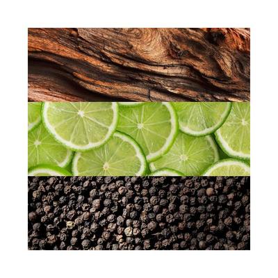 Lacoste Essential Eau De Toilette 75 ml - Men Perfumes (Edt/Edp)