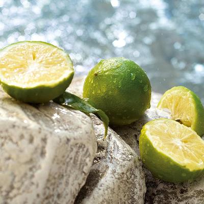 Dolce&Gabbana Light Blue Summer Vibes Edt Limited Edition 100 ml - Women Perfumes (Edt/Edp)