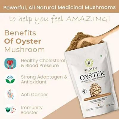 Rooted Active Naturals Oyster Mushroom Extract Powder 60 gm - Pure Herbs
