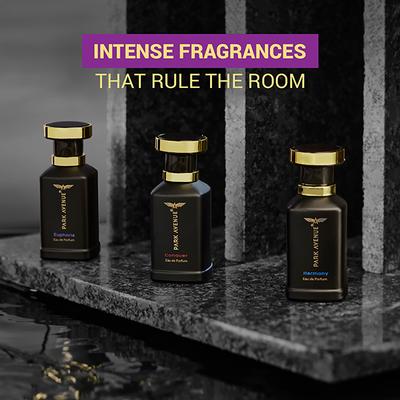 Park Avenue Eau De Perfum - Euphoria 100 ml - Men Deodorants/Roll-Ons
