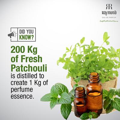 Raymond Java Patchouli Edp Perfume for Men 95 ml - Men Perfumes (Edt/Edp)