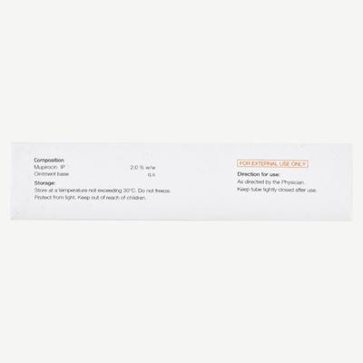 NICORIPUM Ointment 5gm - Bacterial Infections-OAB