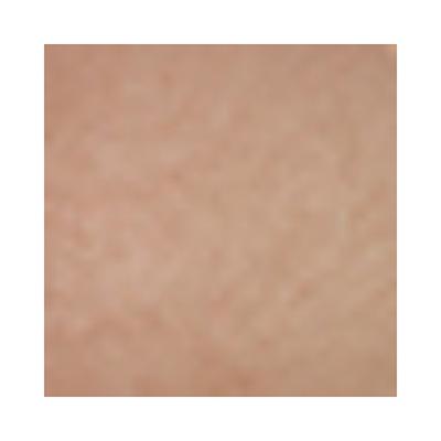 PAC Baked Highlighter 13 Bling Affair 7.5 gm - Highlighters & Illuminators