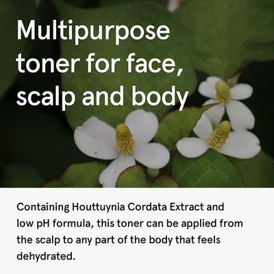 One Thing Houttuynia Cordata Extract 40 ml - Toners