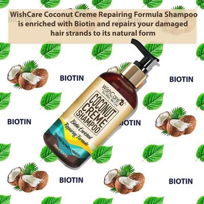 WishCare Coconut Shampoo For Dry & Frizzy Hair With Coconut Milk - Paraben And Sulphate Free Shampoo 300 ml - Shampoos