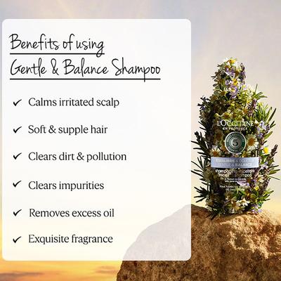 L'Occitane Gentle & Balance Micellar Shampoo 300 ml - Shampoos