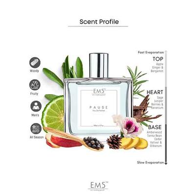 EM5 Pause Perfume for Men - Eau De Parfum Spray, Aromatic Fresh Amber 50 ml - Men Perfumes (Edt/Edp)