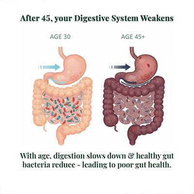 Vansaar 45+ Gut Relief (Sugar Free) Powder 200 g - Digestive Care