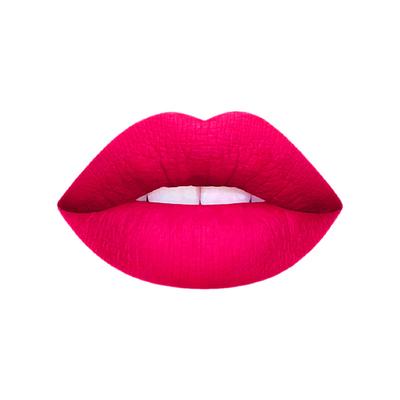 Matt Look Stay Matte Lipstick, Intense-Fuchsia 3.5 gm - Lipsticks