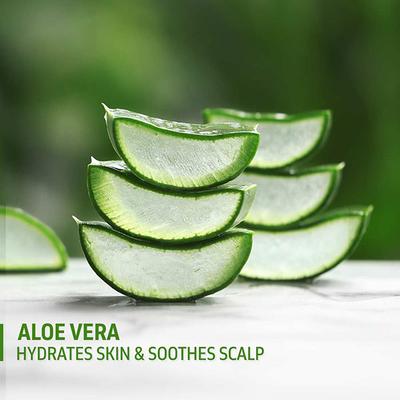 Phy Aloe Gel Hydrator 290 ml - Face Moisturizers