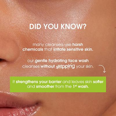 Simple Refreshing Facial Wash, 100% Soap-Free Perfect for Sensitive Skin 250 ml - Face Wash & Cleansers