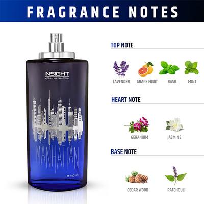 Insight Cosmetics Manhattan Eau De Perfume 100 ml - Perfumes (Edt/Edp)