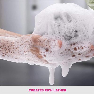 Vega Luxury Everyday Back Sponge (BA - 2/5) 1's - Loofahs & Sponges