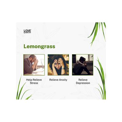 Love Earth Premium Reed Diffuser Lemongrass Long-Lasting Fragrance 30 ml - Diffuser