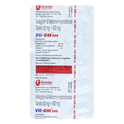 VIL GM 500mg Tablet 10's - Diabetes-Ant