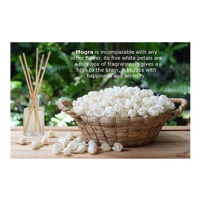 Aroma Galaxy (Alcohol Free) Fragrant Reed Diffuser Kit - Mogra & Madurai Jasmine 30 ml - Carrier Oils