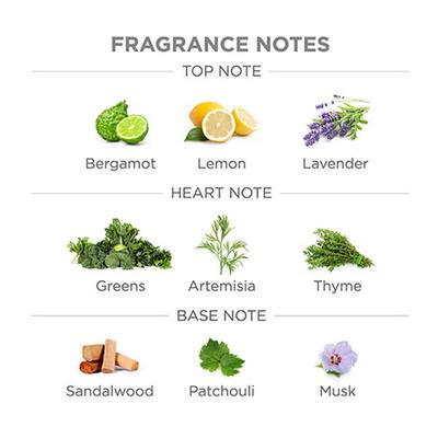 Yardley London Gentleman Urbane Eau De Toilette 50 ml - Men Perfumes (Edt/Edp)