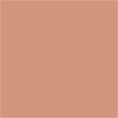 Colorbar Glow & Shine Highlighters - 005 10 gm - Highlighters & Illuminators