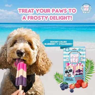Pup Ice Rocket Lollies Blueberry & Strawberry 90 g - Petfood