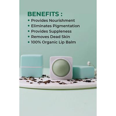 Organic Harvest High Gloss Lip Balm(Green Tea) 10 gm - Lip Balms