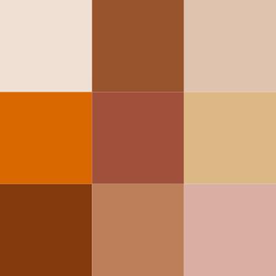 Matt Look Cover Skin Concealer Palette Full Coverage Color Correcting formula for Face Makeup - 02 18 gm - Concealer